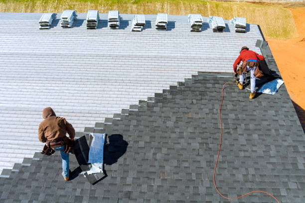 Best Roof Repair Specialists  in Necedah, WI