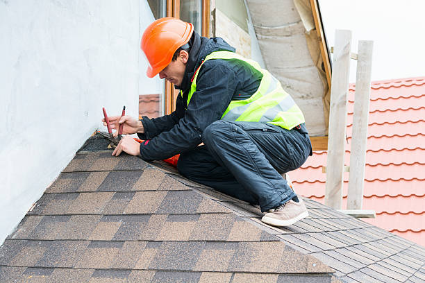 Best Roof Repair Services  in Necedah, WI