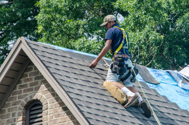 Best Shingle Roofing Installation  in Necedah, WI